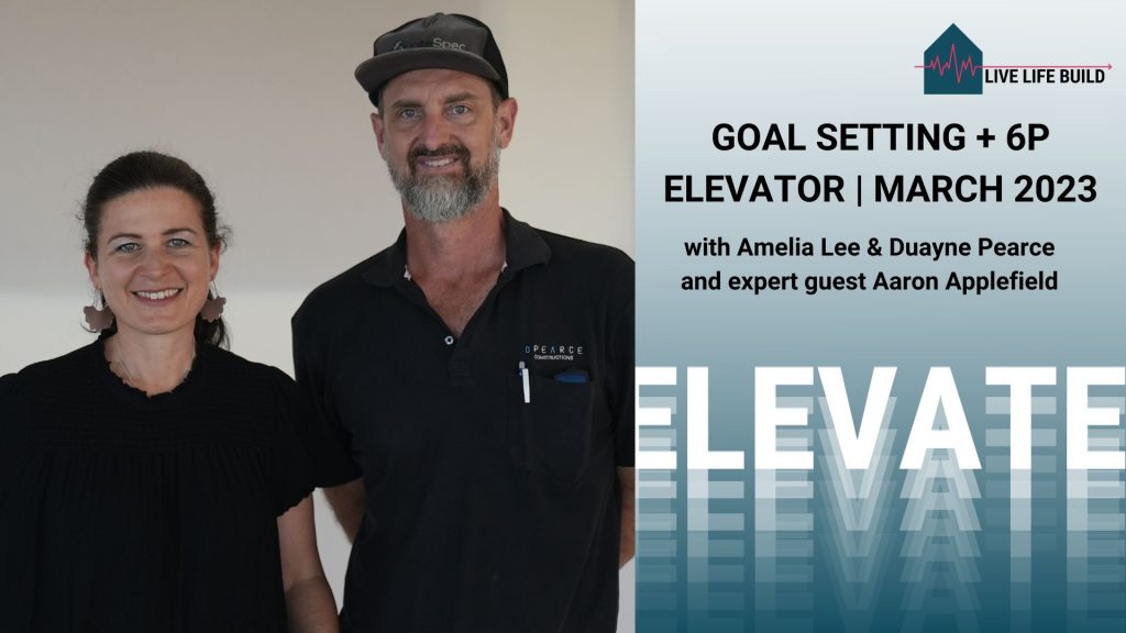 Goal Setting and 6P Elevator Review Session [Mar 2023]